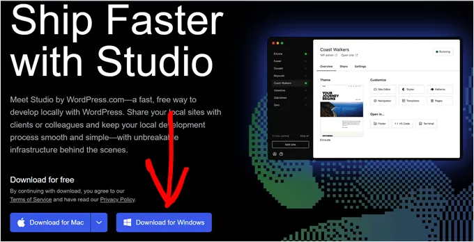 Download WordPress Studio