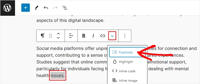 Footnote in WordPress