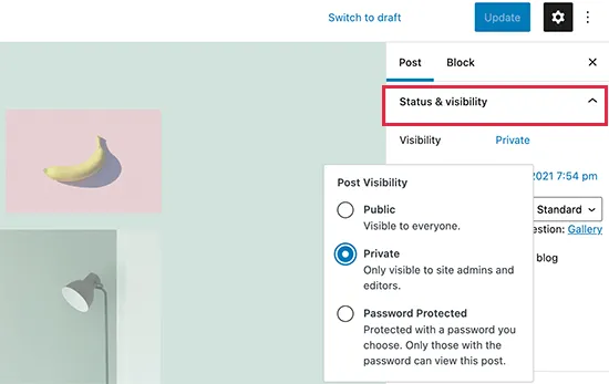 WordPress Post Visibility
