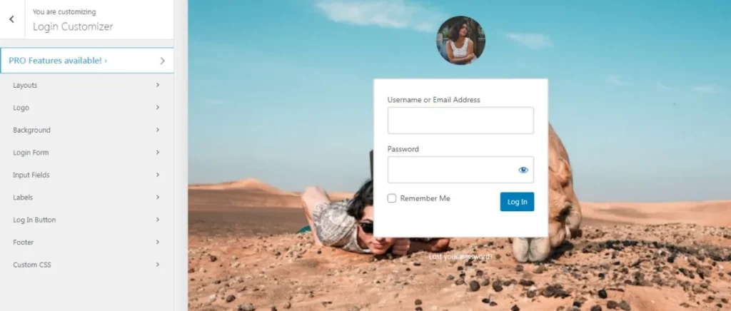 My custom wp login